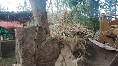 إزالة 39 حالة تعدٍ على أملاك الري بالغربية