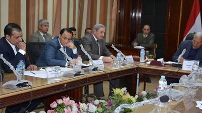 محافظ الدقهلية يحظر سير اللنشات ببحيرة المنزلة