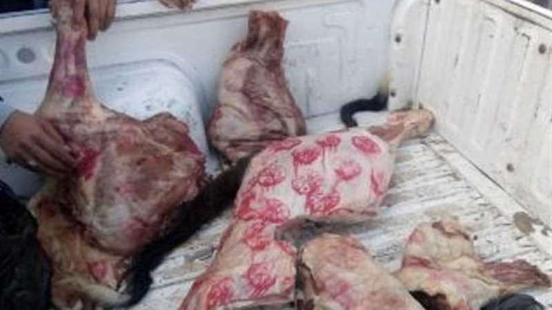 نائب وزير الزراعة: