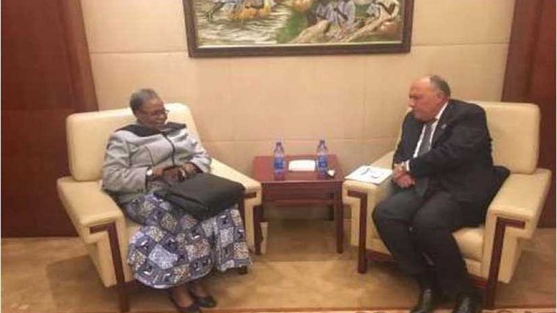 شكري يبحث مع وزيرة