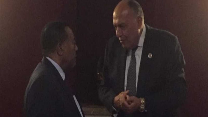 وزير الخارجية يبحث