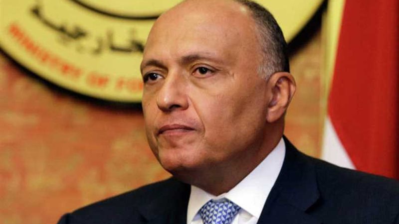 شكري: القمة الإفريقية