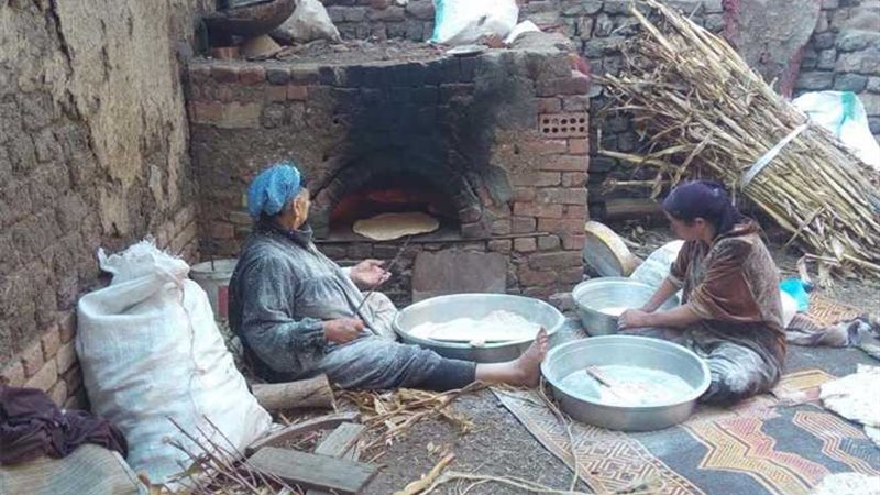 العودة للطبيعة..