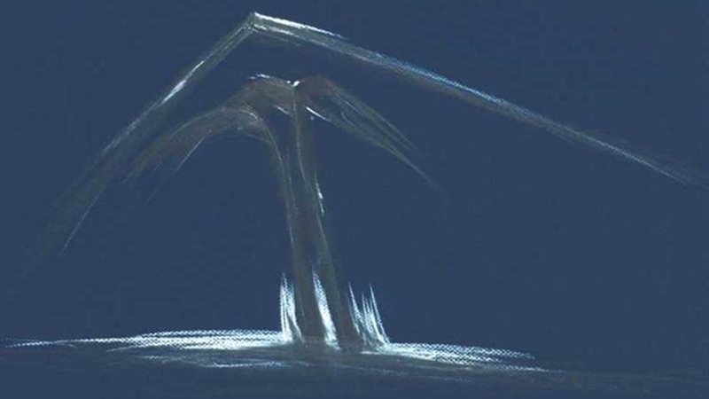 الأهرامات وشراع المراكب