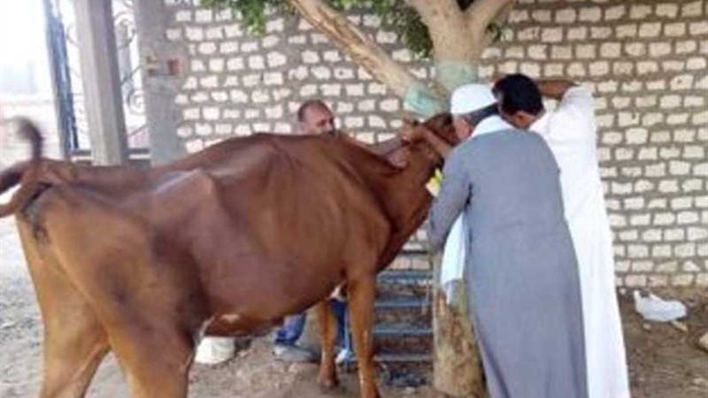 تحصين وترقيم ١٥٣ألف