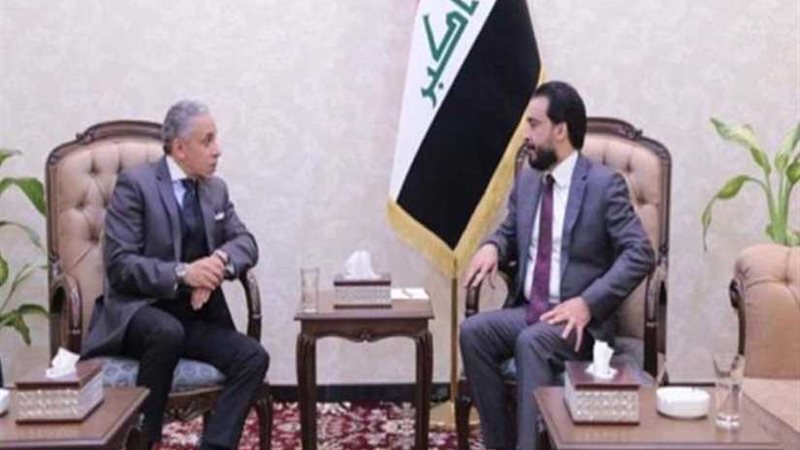 رئيس النواب العراقي