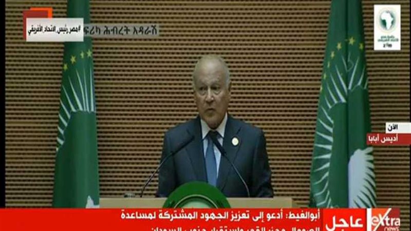 أبوالغيط: أثق أن