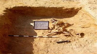 استئناف أعمال الحفائر بجوار هرم ميديوم