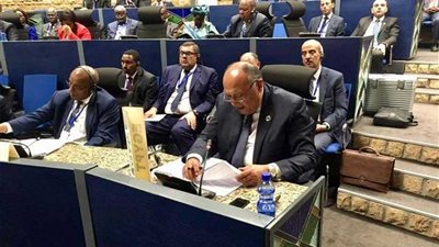 شكري يُشارك في 