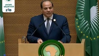 مايسة عطوة: السيسي قدم رؤية لحل أزمات القارة