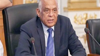رئيس مجلس النواب يعود للقاهرة قادما من قبرص