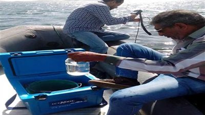 البيئة : رصد للنيل بأسوان للحفاظ على سلامة وجودة المياه ببحيرة ناصر