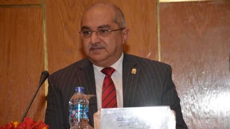 دور الدولة في حماية