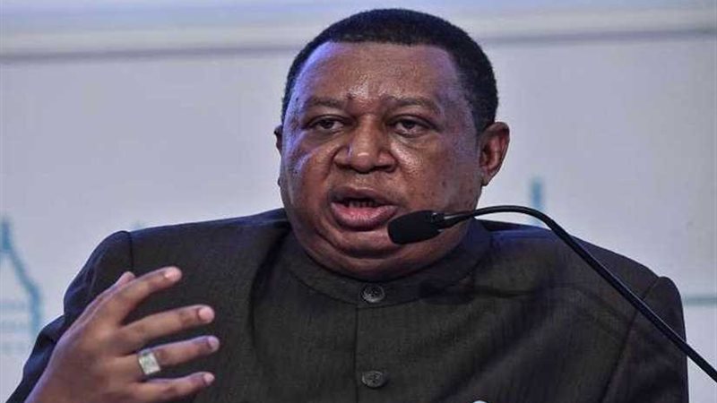 رئيس أوبك: مصر تتحول