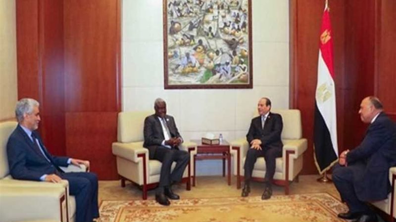 الرئيس السيسي لأعضاء