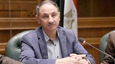 مجدي ملك يقدم طلب إحاطة لوزيري الصناعة والتخطيط