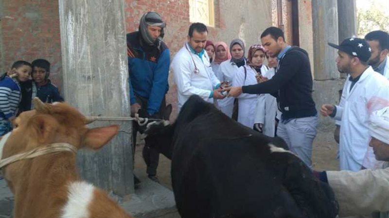 جامعة دمنهور تنظم