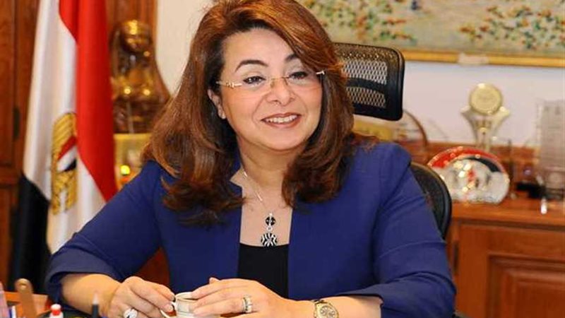 293.5 مليون جنيه