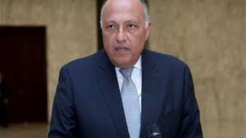 شكري: مصر تواصل جهودها