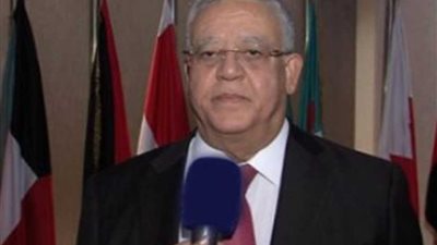 ننشر نص كلمة رئيس المحكمة الدستورية في مؤتمر رؤساء المحاكم الدستورية العليا والمجالس الدستورية الإفريقية