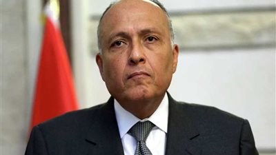 شكري يبدأ غداً زيارة إلى العاصمة الأيرلندية دبلن