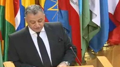 نائب رئيس الدستورية العليا: الدستور كفل حقوق الأجانب المقيمين