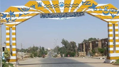 الكشف على 5450 مواطنًا مجانًا بالواحات البحرية