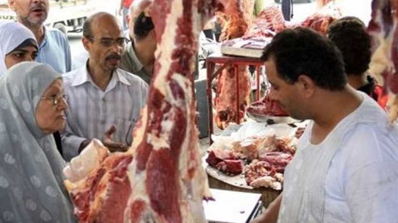 تموين الإسكندرية