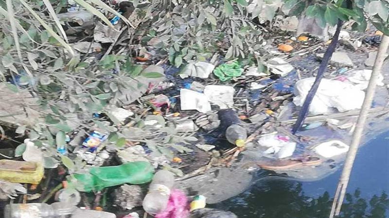 الحيوانات النافقة