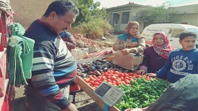 توفير السلع والخضروات بأسعار مخفضة بكفر الشيخ