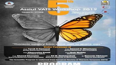 ورشة عمل بجامعة أسيوط عن منظار الصدر الجراحي