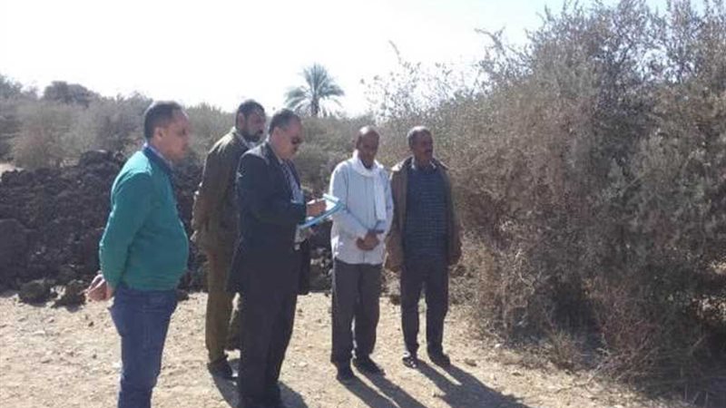 محافظ أسيوط يكلف