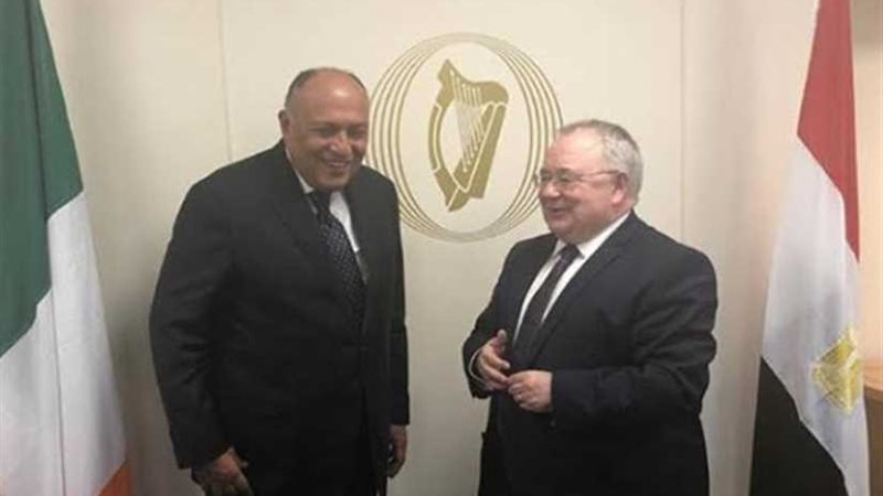 شكرى يبحث مع رئيس