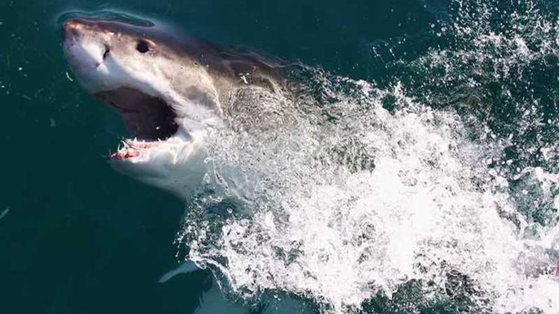 علاج أمراض مستعصية