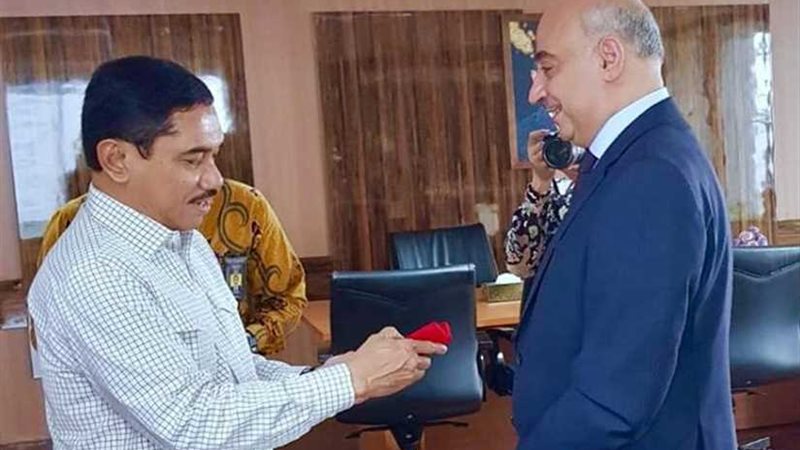 السفير المصري في