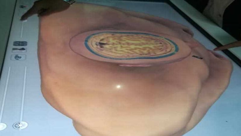 عرضًا ثلاثي الأبعاد