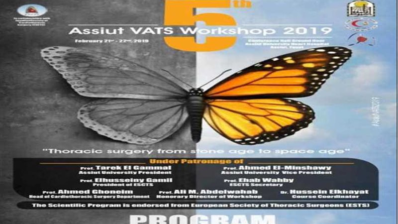 ورشة عمل بجامعة أسيوط