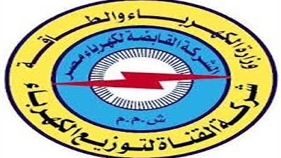 نقابة العاملين بتوزيع كهرباء القناة تؤيد التعديلات الدستورية