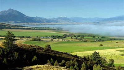 على طريقة فيلم 