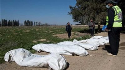 العثور على أكبر مقبرة جماعية لضحايا قتلهم 