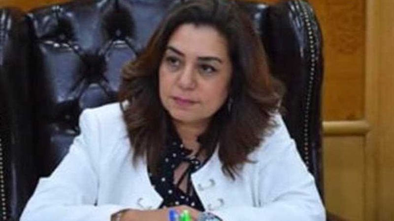 محافظ دمياط : مجلس