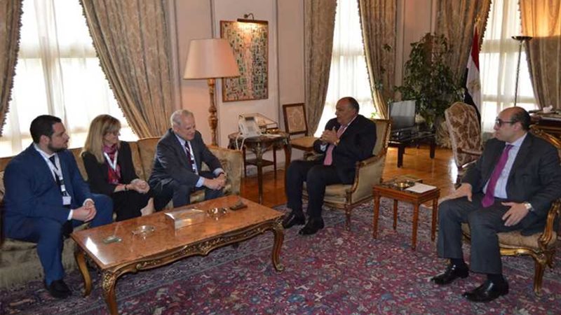 شكري يبحث مع ستيف