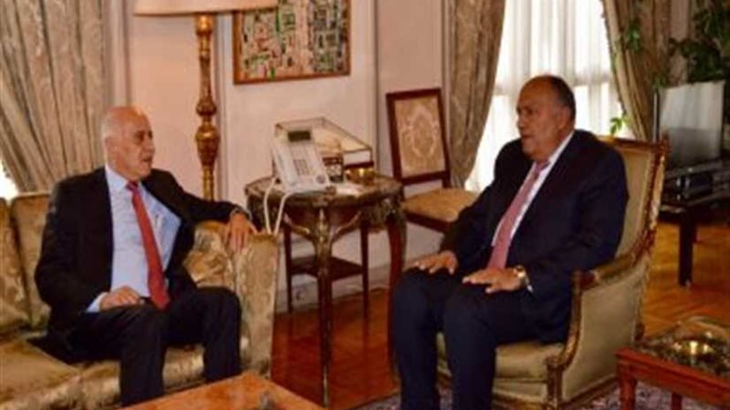 شكري يؤكد التزام