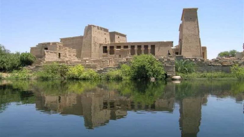 حقيقة مذبحة الأشجار