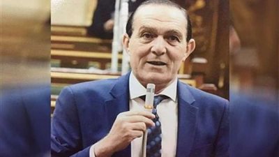 هيكل: انعقاد القمة العربية - الأوروبية في مصر إنجاز جديد للرئيس السيسي