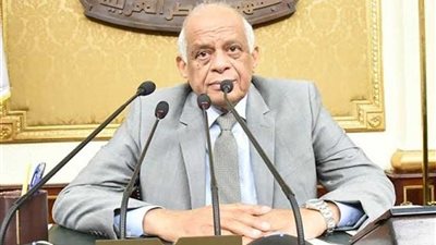 مجلس النواب يستعرض بيانات عاجلة بشأن عدد من المشكلات