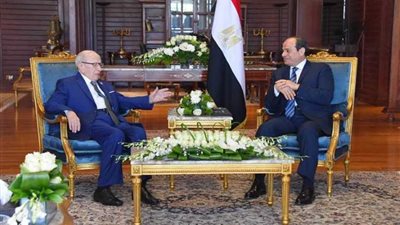 السيسي يؤكد دعم مصر لتونس في مواجهة الإرهاب