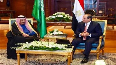خبير: الشراكات المصرية- السعودية.. تحقق المصالح المشتركة