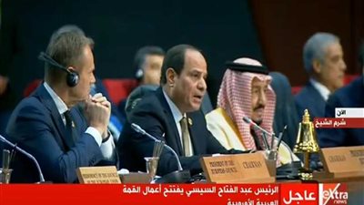 السيسي: حل القضية الفلسطينية سيفوت الفرصة على قوى الشر والإرهاب