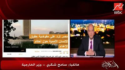 شكري ردًا على أردوغان: لن ننزلق لهذا المستوى.. 